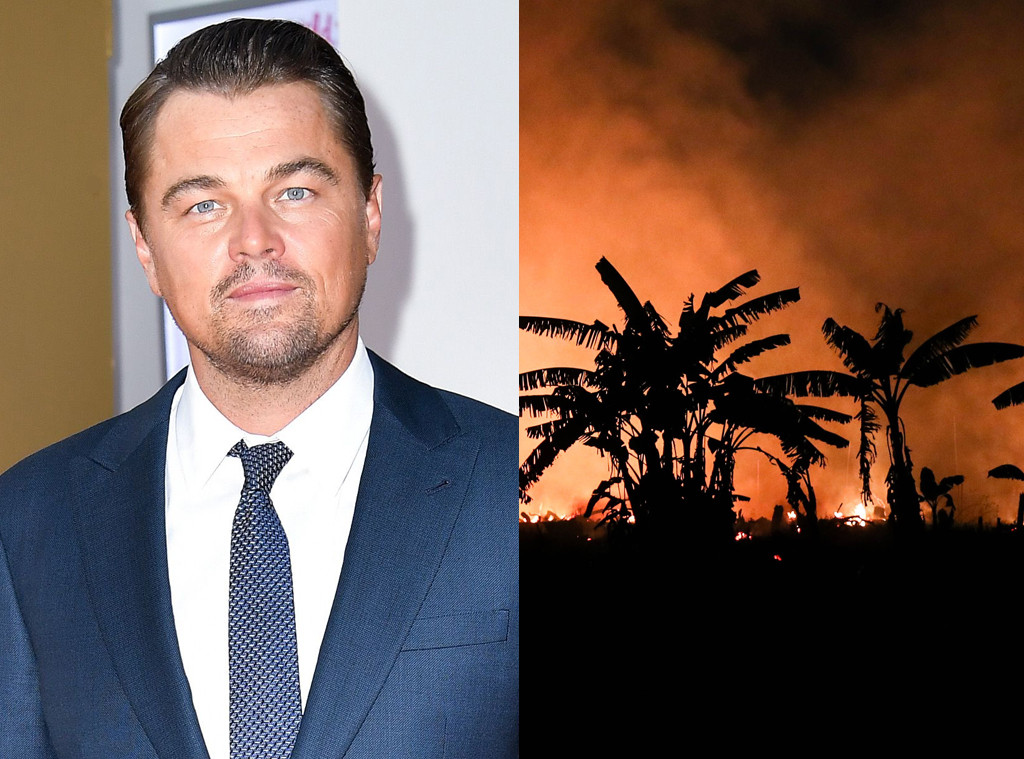 Image result for Leonardo has denied the allegations made by Brazilian President Jair Bolsonaro that Hollywood actor Leonardo was responsible for the fire in the Amazon.